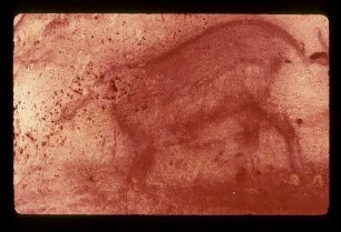 Font-de-Gaume: SW090210