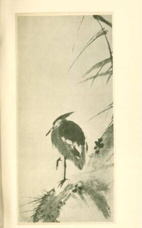 Heron