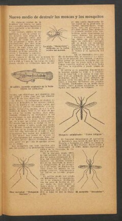 Nuevo medio de destruir las moscas y los mosquitos