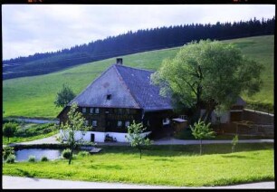 Triberg: moderner Bauernhof, mit Teich davor