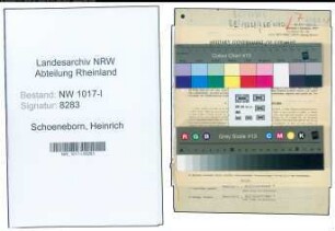 Entnazifizierung Heinrich Schoeneborn , geb. 10.03.1887 (Werkzeughaendler)