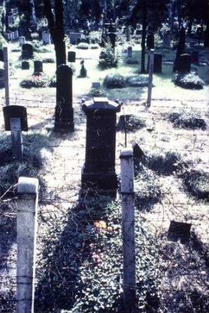 Stacheldrahtzaun am Friedhof Pankow III