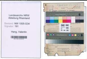 Entnazifizierung Valentin Hang , geb. 24.03.1900 (Arzt)