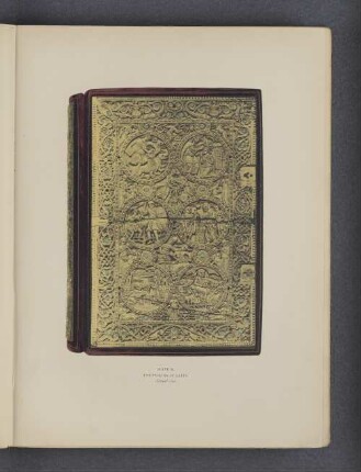 Plate II.