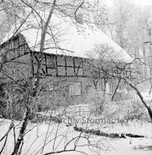 Nütschauer Mühle: vorn und hinten Bäume: Winter