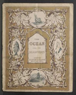 The ocean and its inhabitants