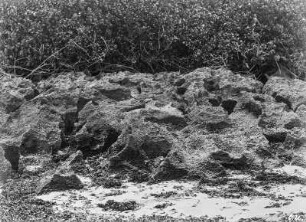 Gestein auf den Makatumbe Islands : Schrattenartige Bildungen am Strand der Insel Außer Matakumbe