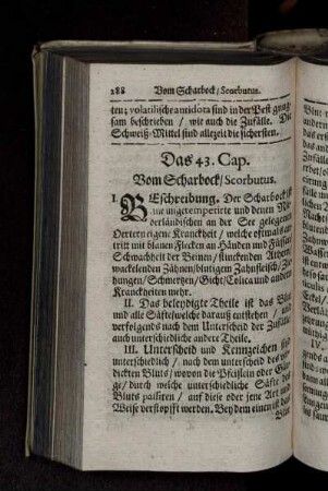Das 43. Cap. Vom Scharbock/ Scorbutus.
