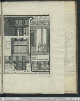 Tab. XIV