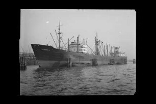 Braunfels (1952), Frachtschiff (reefer), D.D.G. "Hansa", Bau-Nr. 692