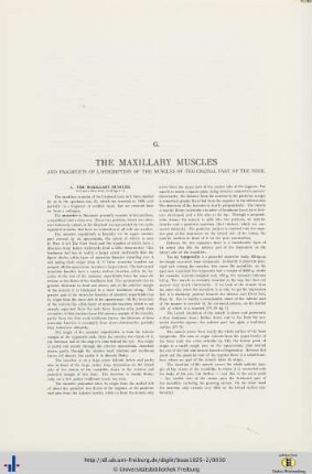 The Maxillary Muscles.