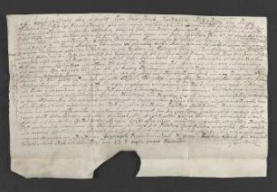 1698 Dez. 13. Lehnsbrief Jobst Diedrichs von Wend für die Kleinsorgen betr. Hof zu Vogelhorst.