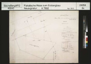 Grubenfeld von Johannes und Therese Fundgrube bei Altrottmannsdorf (Schönfels)