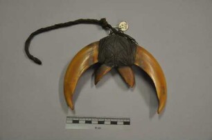 Schmuck aus Vorderklauen des Riesengürteltieres