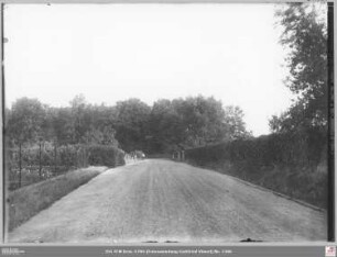 Feldstraße an der Miquelstraße von Norden