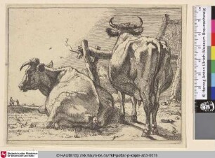 [Zwei Kühe von hinten; Two Cows Seen From Behind]