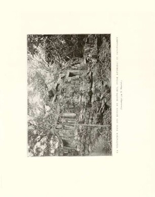 La végétation dans les ruines de Hueûn-Hin, entre Kemmarat et Savannakhèt (Communiqué par M. Blanchet)