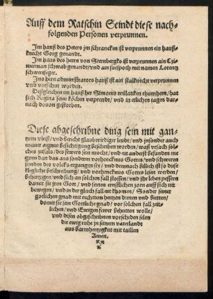 Auff dem Ratschin Seindt diese nachfolgenden Personen verprunnen.