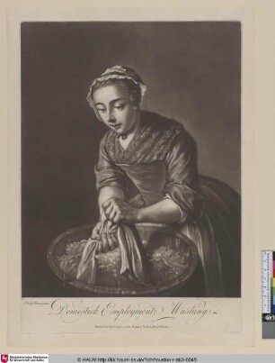 Domestick Employment, Washing