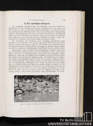 H. Der regelmäßige Steingarten