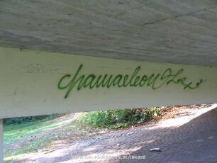 chamaeleon | "WR