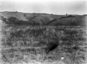 In den Berkeley Hills : Berglandschaft mit Blick auf die Rumpffläche der Wasserscheidelinie