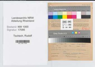 Entnazifizierung Rudolf Tschech, geb. 07.08.1909 (Kaufmann)