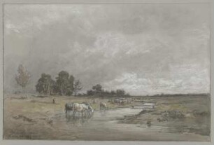 Wiesenlandschaft mit trinkender Herde