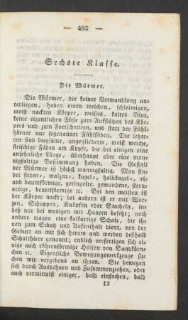 Sechste Klasse. Die Würmer.