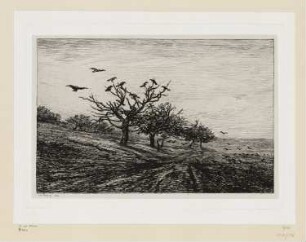 Baum mit Raben