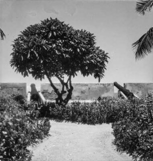 Fort : Park auf einem Fort, an den Mauern Kanonen