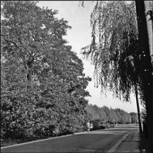 Waldstraße