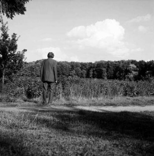 Wanderweg um den Herrenteich: Mann auf Weg