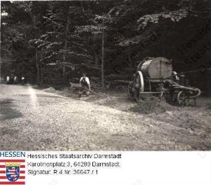 Mörfelden, 1933 / Wegebau auf der Dachsbergschneise im Forstamt Mörfelden, drei Szenenfotos