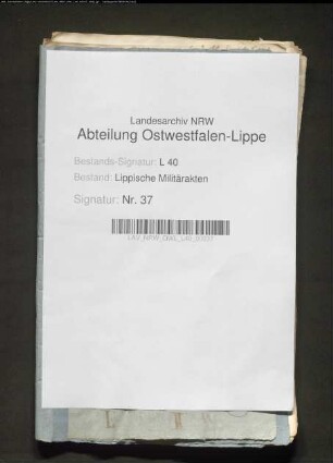 Desertion von Landmilizionären