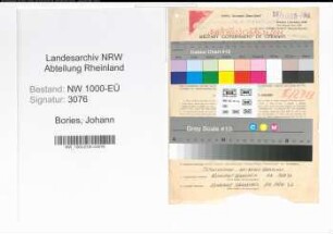Entnazifizierung Johann Bories, geb. 10.11.1885 (Staedt.Angest.)