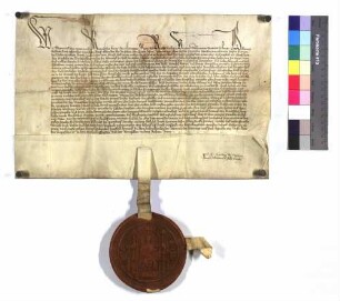 König Sigmund verpfändet seinem Diener Peutelin von Haymenhofen, dem er 600 rheinische Gulden schuldig ist, 40 Pfund Heller von der 100 Pfund Heller betragenden Reichssteuer der Stadt Isny.