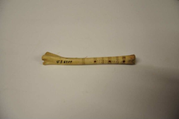 Bone flute