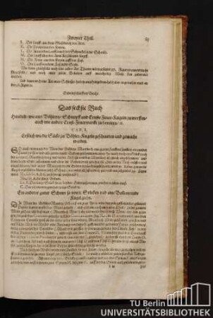 Das sechste Buch handelt / wie aus Böhlern / Schimpff und Ernste Feuer-Kugeln zu werffen / auch wie andere Ernst-Feuerwercke zu bereiten.