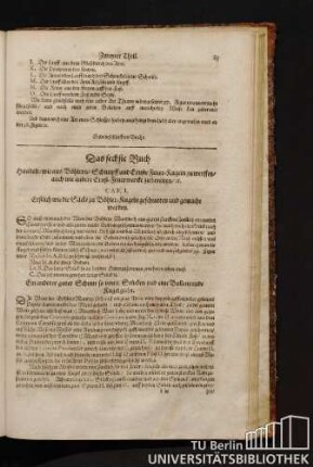 Das sechste Buch handelt / wie aus Böhlern / Schimpff und Ernste Feuer-Kugeln zu werffen / auch wie andere Ernst-Feuerwercke zu bereiten.