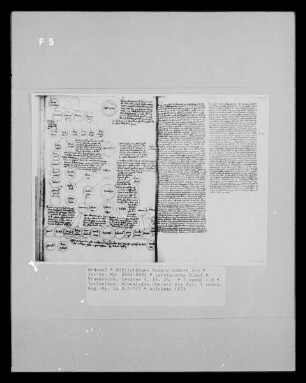 Lateinische Bibel — Textseiten. Genealogie Christi bis fol. 7 verso., Folio 7 verso - 8
