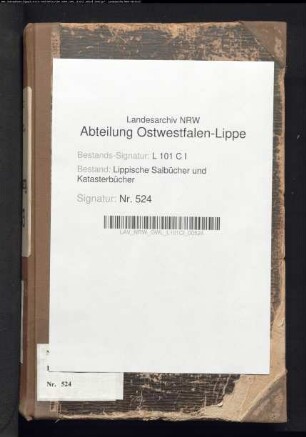 Salbuch der Stadt Blomberg von 1863, Bd. 3 (Duplikat)