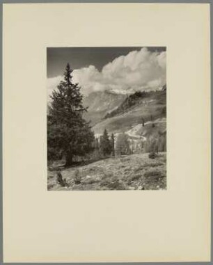 Blick auf den Muliatsch