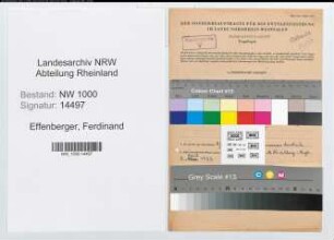 Entnazifizierung Ferdinand Effenberger, geb. 03.09.1913 (Lehrer)