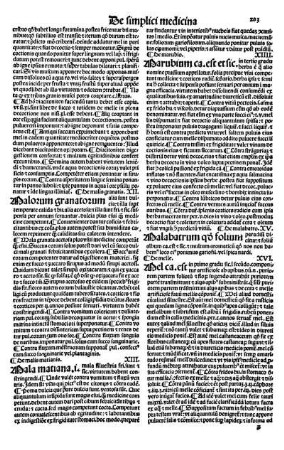 XV. Malabatrum qo folium