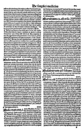 XV. Malabatrum qo folium