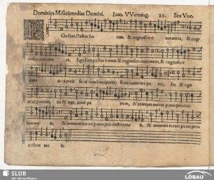 22. Ego sum Pastor bonus