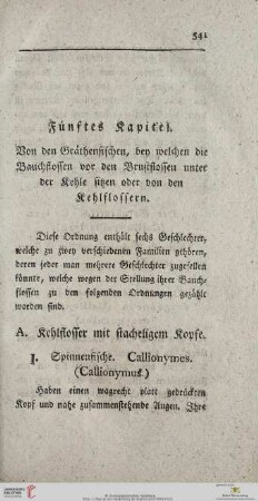 Fünftes Kapitel