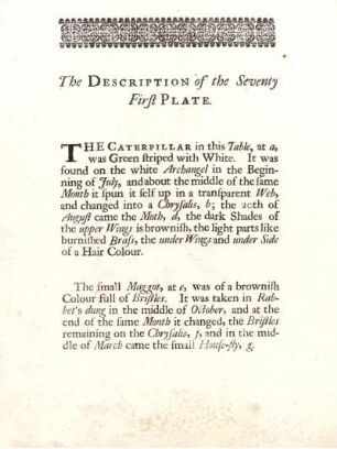 The Description of the Seventy First Plate