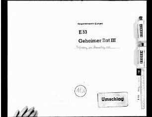 Angelegenheiten der Bundesstaaten: Verfassung von Braunschweig